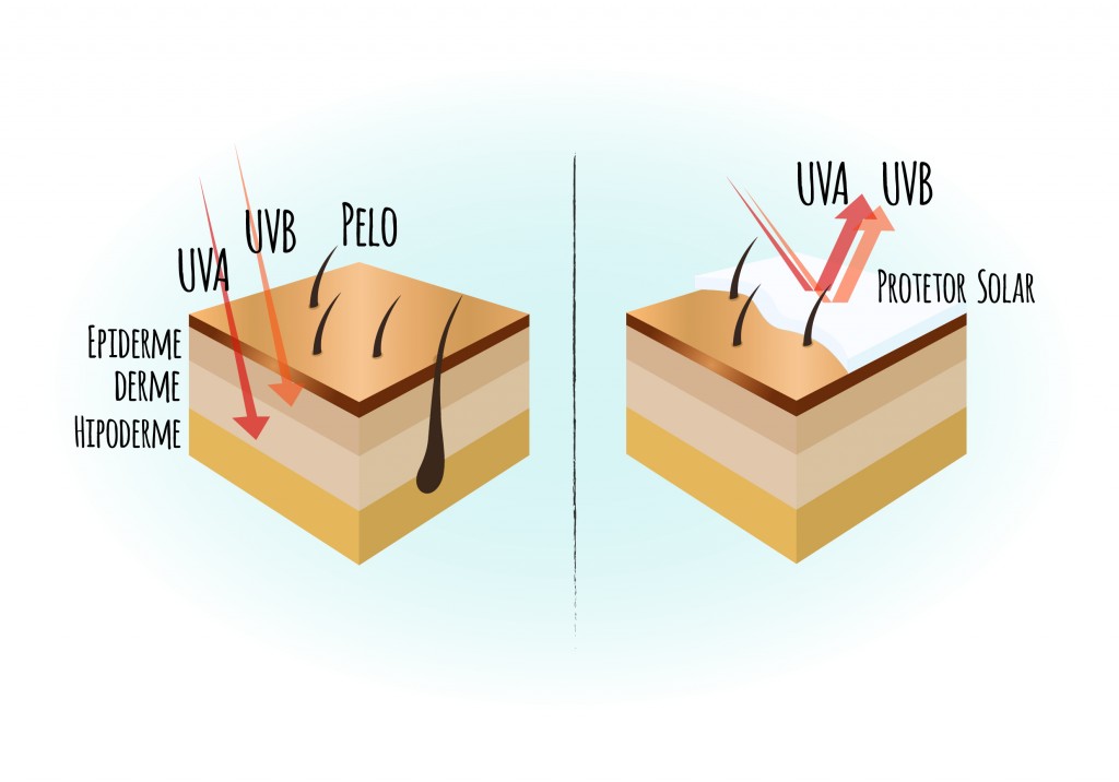 raios uva e uvb na pele-01